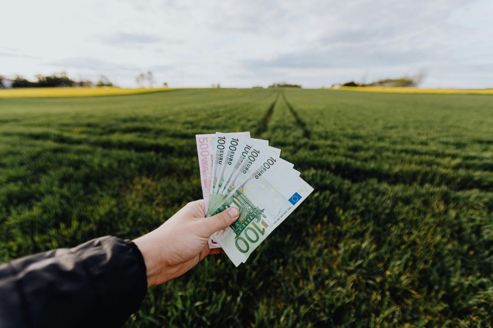 Ein Mann hält mehrere Euro-Scheine in der Hand